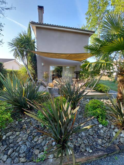 Between vineyards and palms