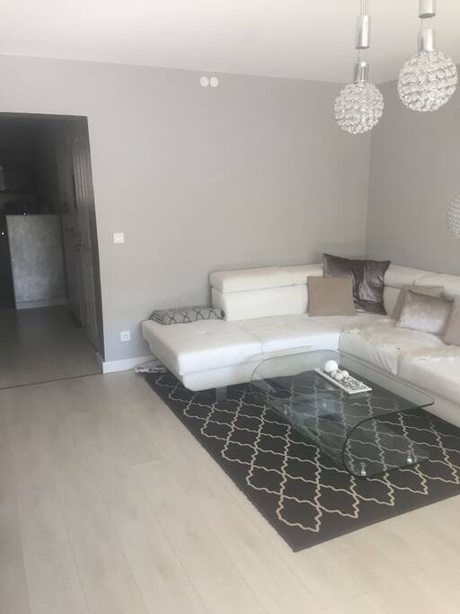 Pull out couch for relaxing evenings