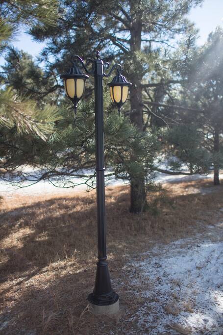 Beautiful driveway lighting as you pull up to the house.