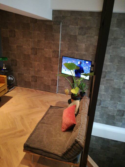 Living room & secret door bathroom