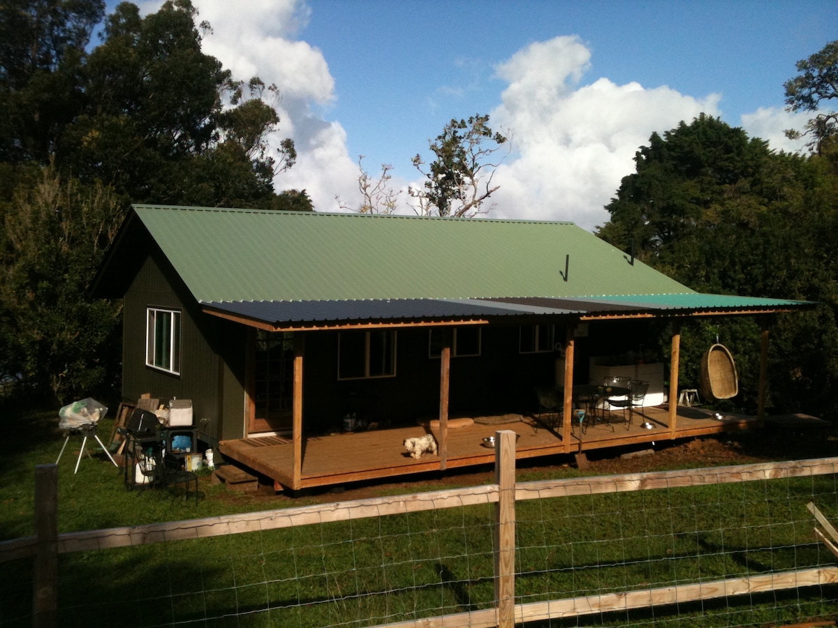A country home is presented with a green metal roof and wooden deck. The structure features multiple windows, allowing natural light to fill the interior. The deck is furnished with a hanging chair and outdoor furniture, set against a backdrop of lush trees and open sky.