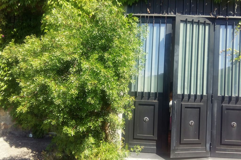 Front door