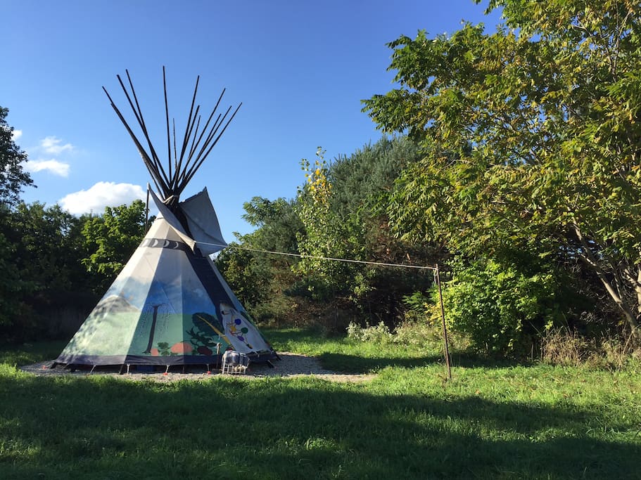 This side view of the tipi shows how it sits sheltered within a woodland area.