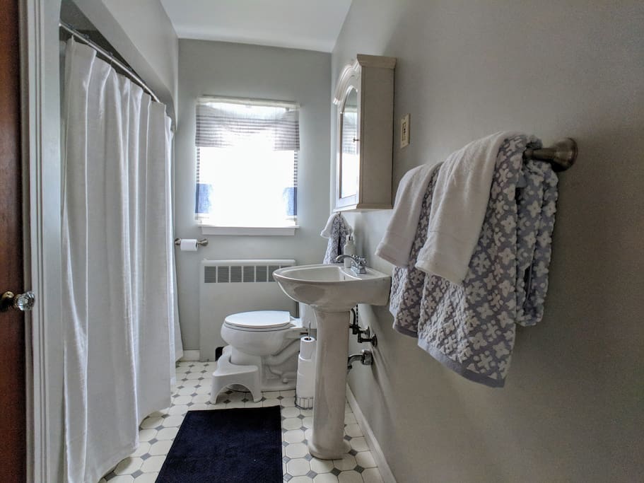 Relaxing bathroom with squatty potty ( for healthier elimination)