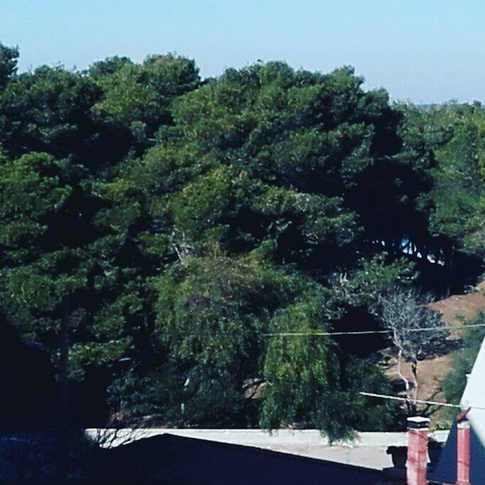 Vista dalla finestra della Camera da letto