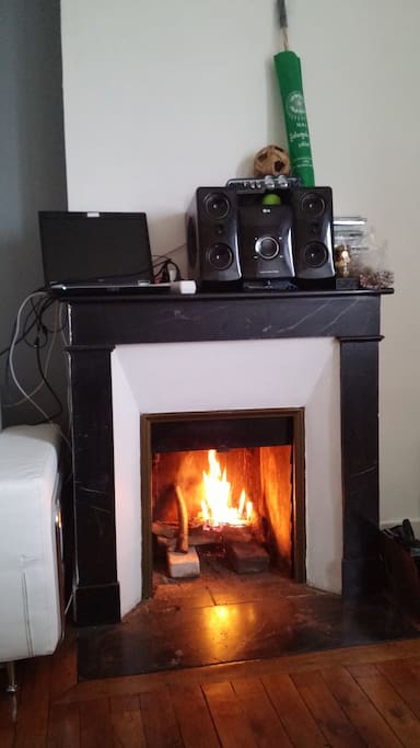 Feu de cheminée dans le salon.#3