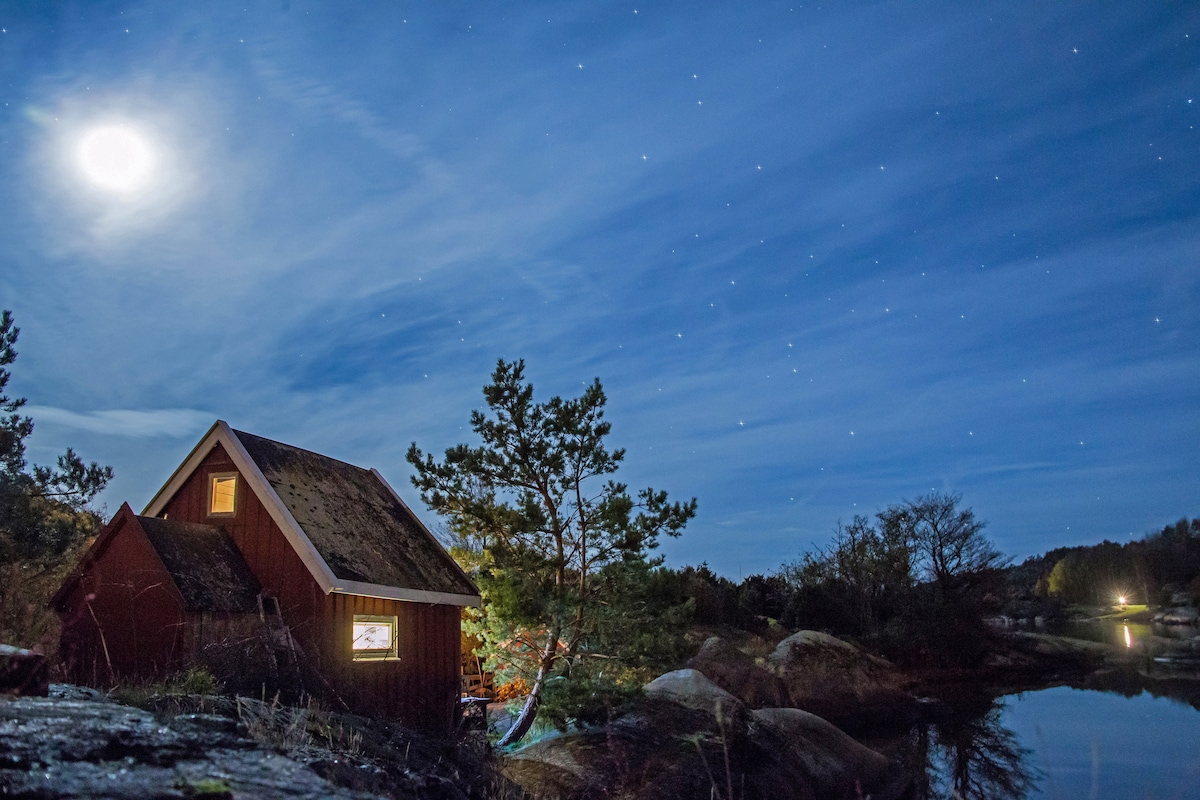 Private island in sunny Hvaler Airbnb — photo 5