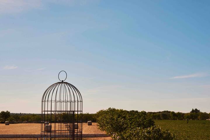 TRULLI MANSUETO wild meets perfection gallery image 4