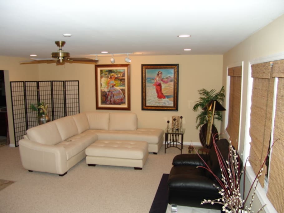 Completely Furnished Contemporary
