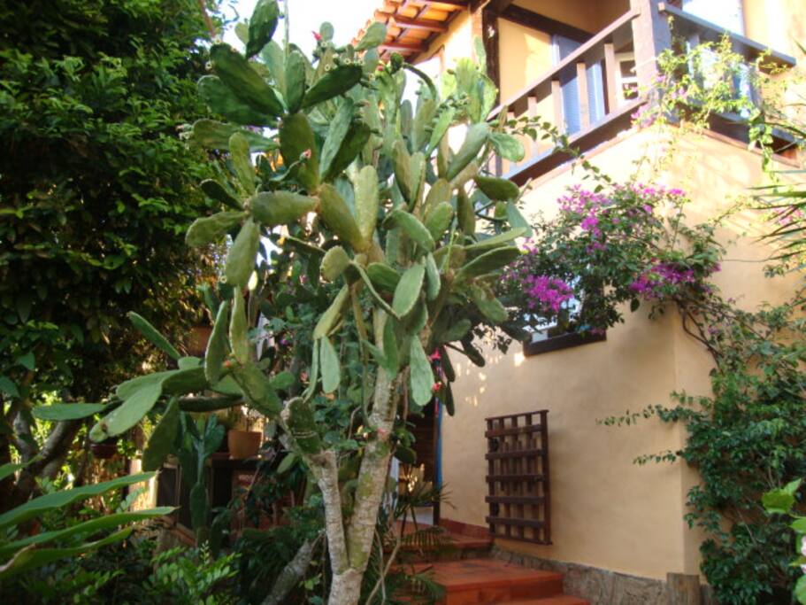 FRENTE DA CASA