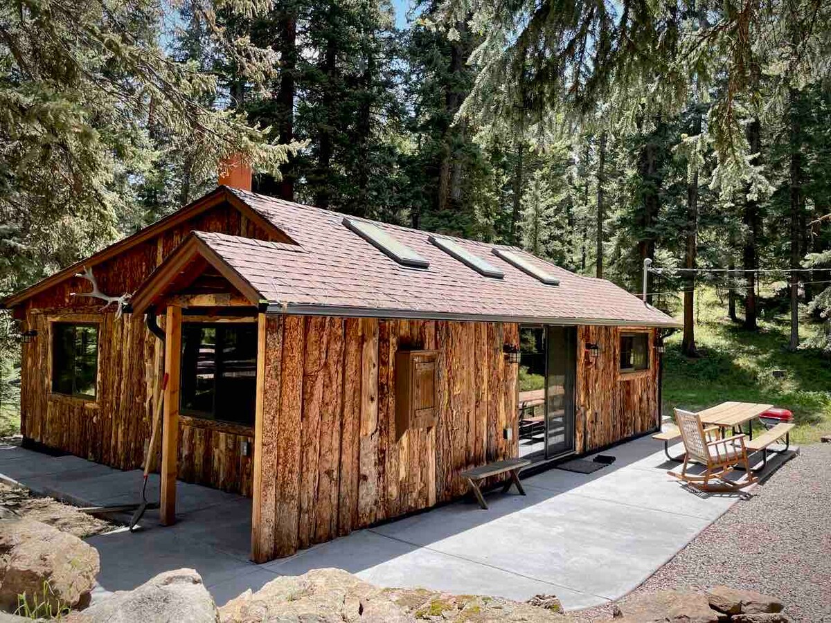 The rustic cabin exterior showcases natural wood siding and a sloped roof. Large windows provide views of the surrounding forest. A concrete patio extends from the cabin, featuring an outdoor dining area with wooden chairs and a table, framed by towering evergreen trees.