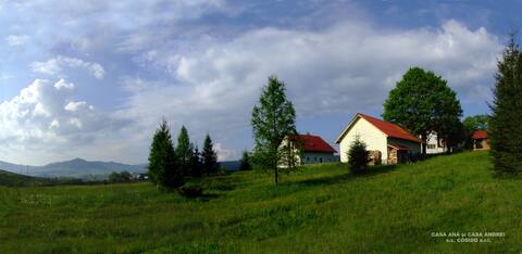 Casa Ana in Bucovina's Mountains Vatra Dornei