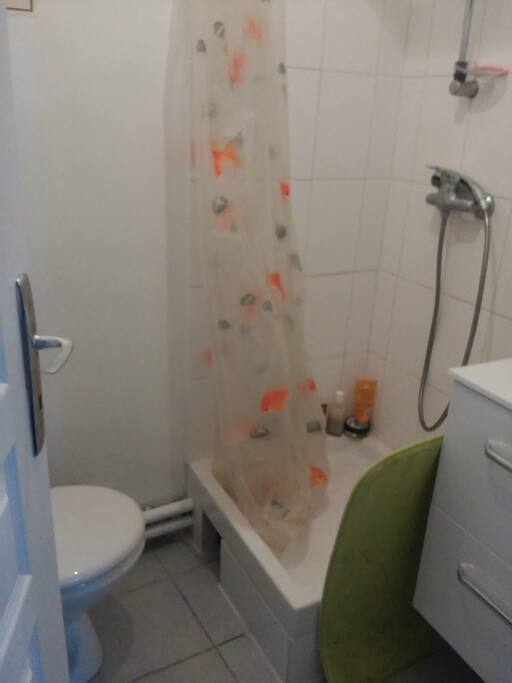 Salle de bains 1.