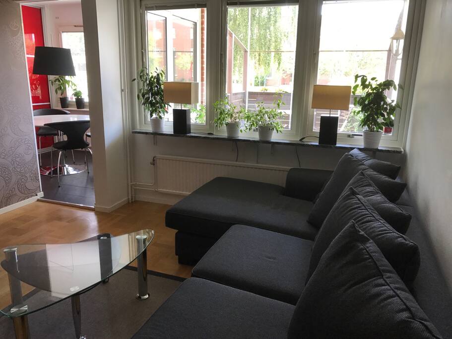 Njut en god bok i soffan