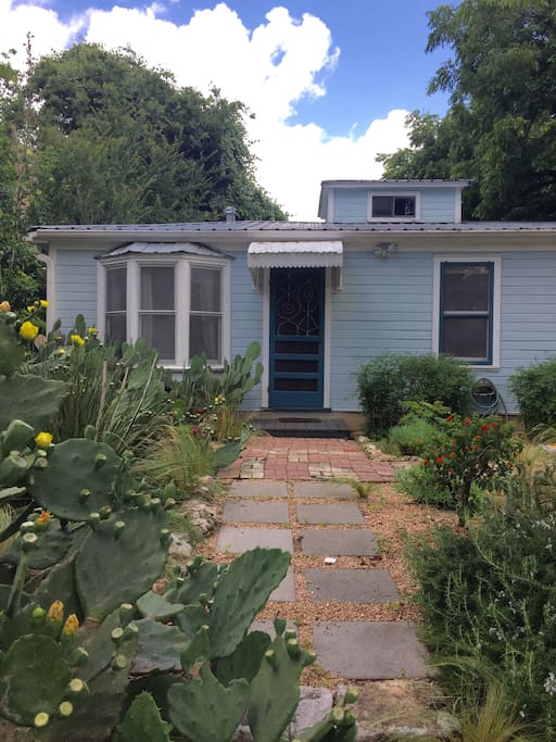 Cactus gardens and paved walkways in front yard