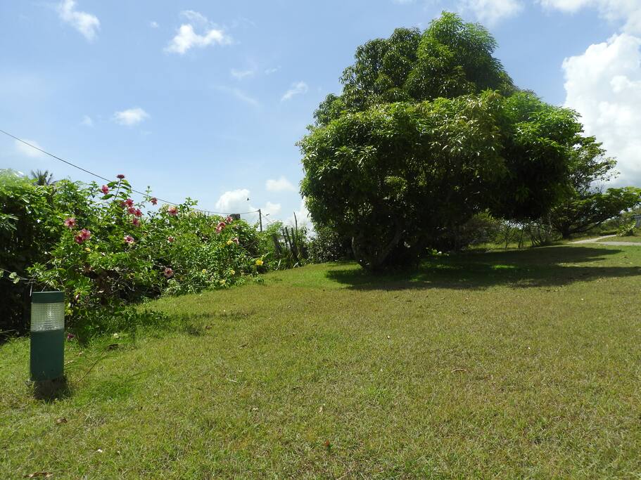 Le jardin