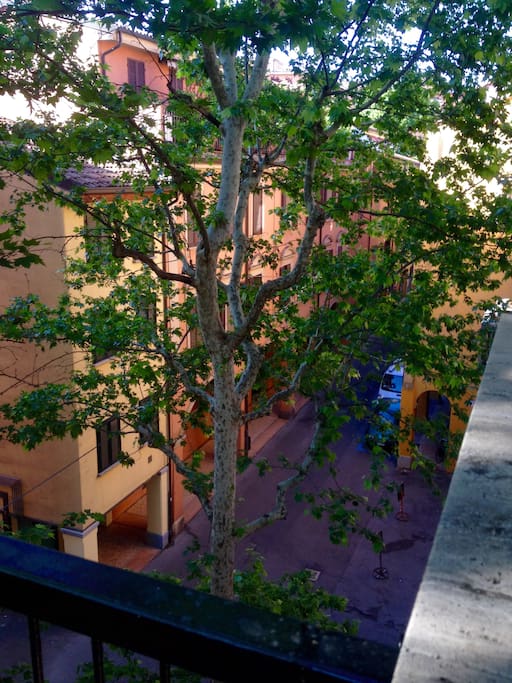 View from the Balcony in the appartment