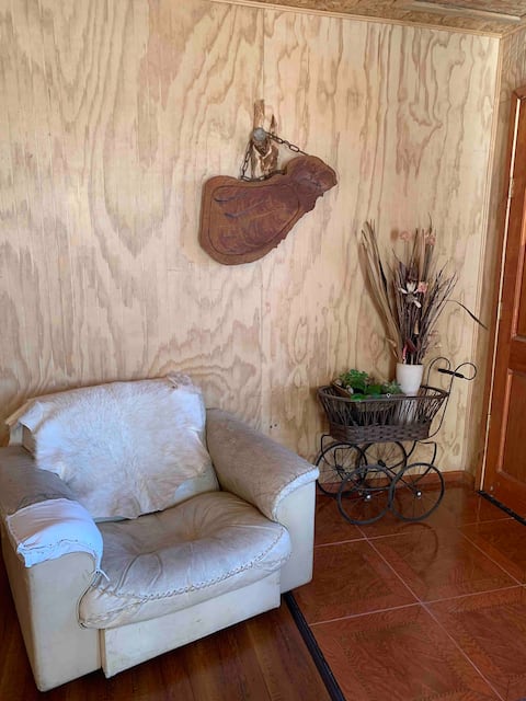 Successful Airbnb property: Rocio de Luna Llena Cabin. IG in Valdivia