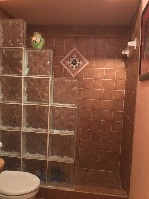 Great Walk in Shower in Master Bathroom