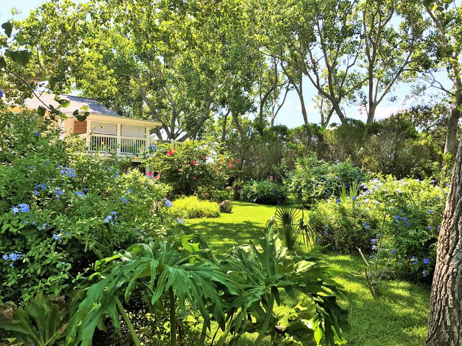 "Hard to believe you are steps from the beach in this cool oasis! And grocery and restaurants just a stroll away!" Kathy and Tom August 2016
