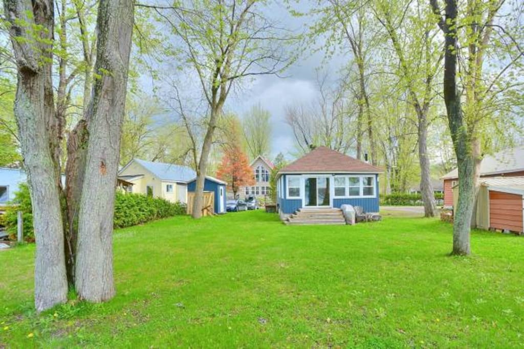 The cottage and the backyard