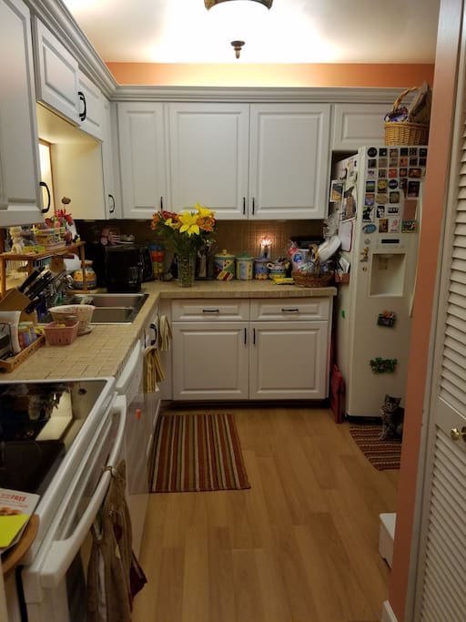 This is the kitchen.