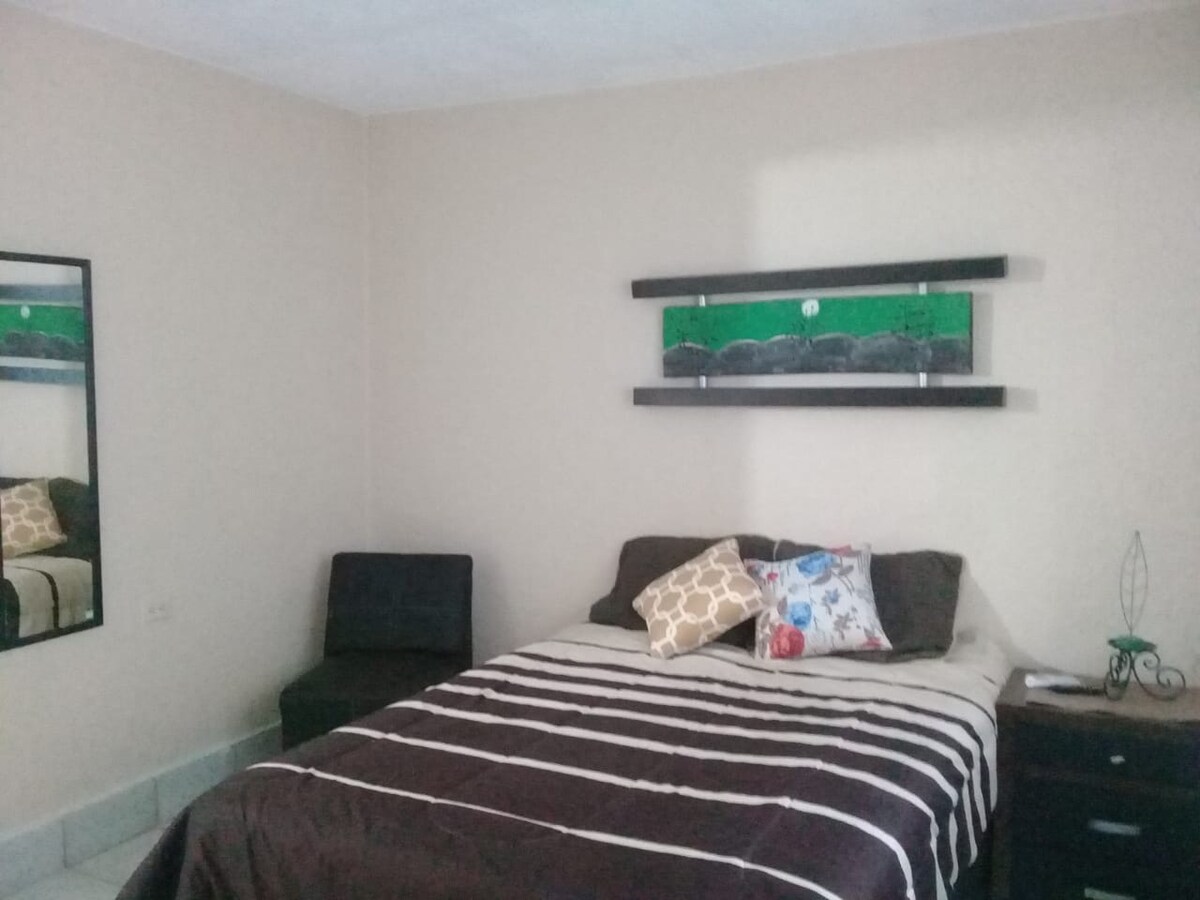 A cozy sleeping area features a spacious bed, adorned with decorative pillows and a dark covering. A sleek bedside table holds a small lamp, and a mirrored wall enhances the light. A simple chair adds to the comfort, while a green accent shelf provides a touch of decor.