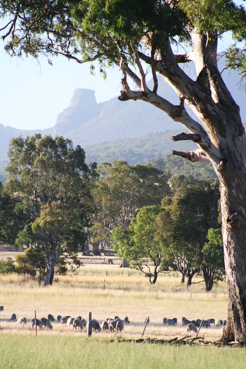 Chimney Pots Cottage