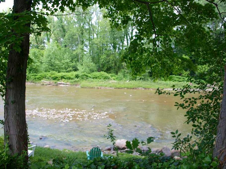 Chagrin River access