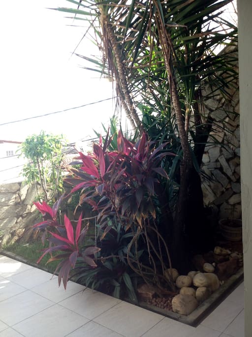 a little Garden/jardinzinho