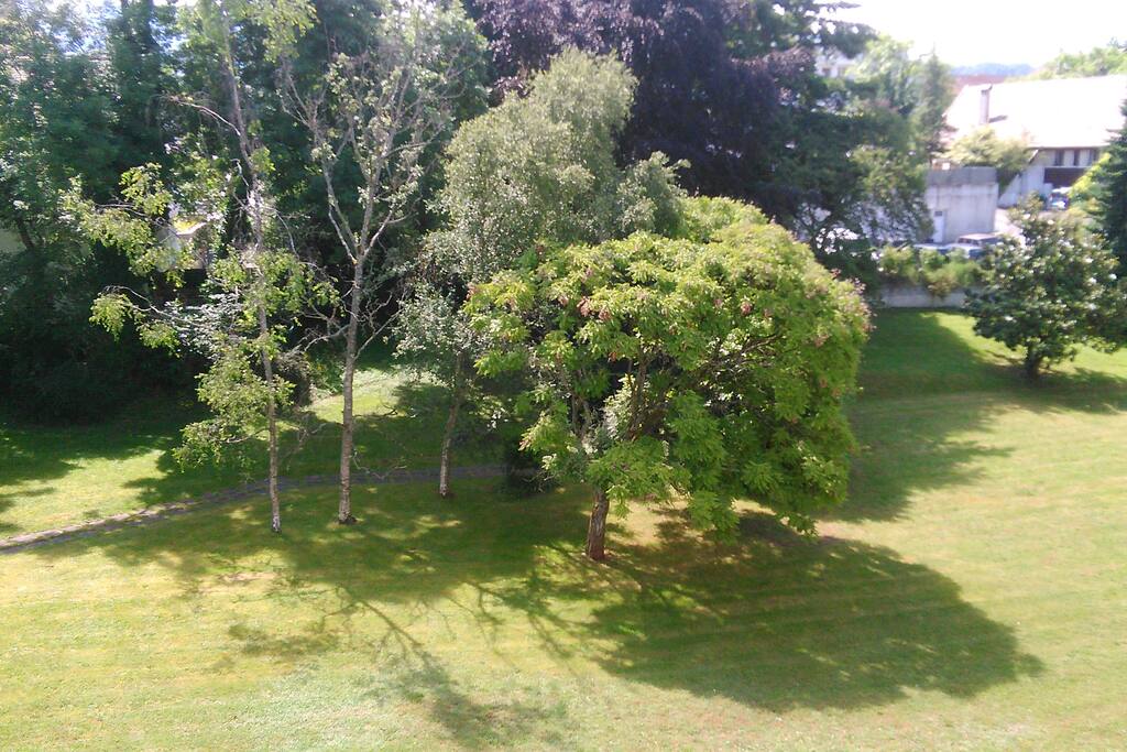 un parc