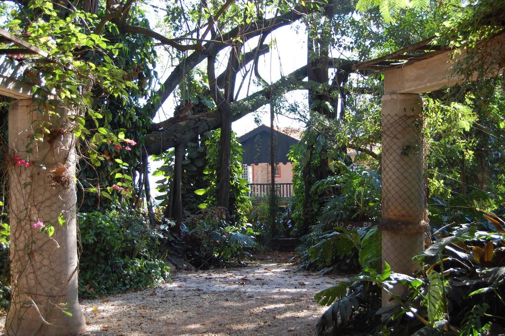 Natureza pra todo lado!