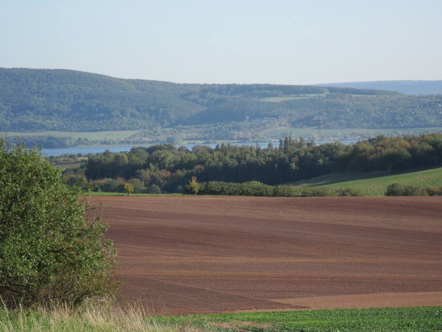 Blick auf den Stausee Kelbra