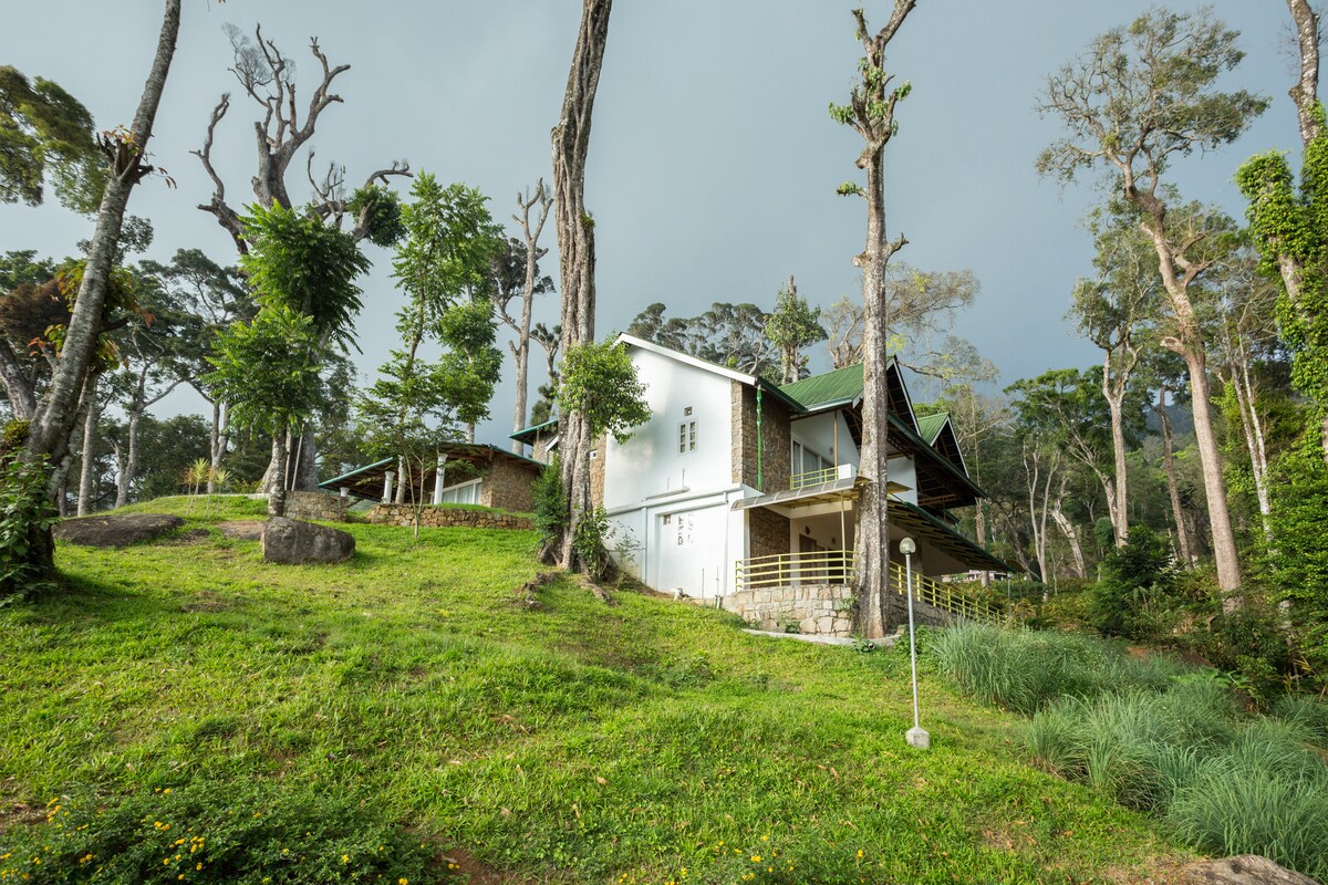 The bungalow is set on a gently sloping green lawn, surrounded by tall trees and lush vegetation. Its white exterior contrasts with the natural surroundings, while the sloped roofs are adorned in green tiles. The landscape offers a serene and inviting atmosphere.