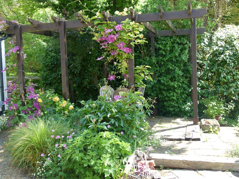 Patio area