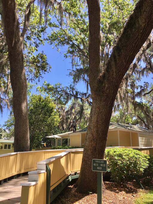 Boardwalk from parking to villa