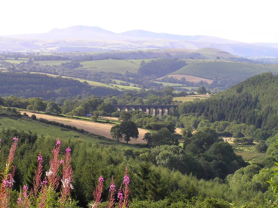 The Bran valley towards the farm
