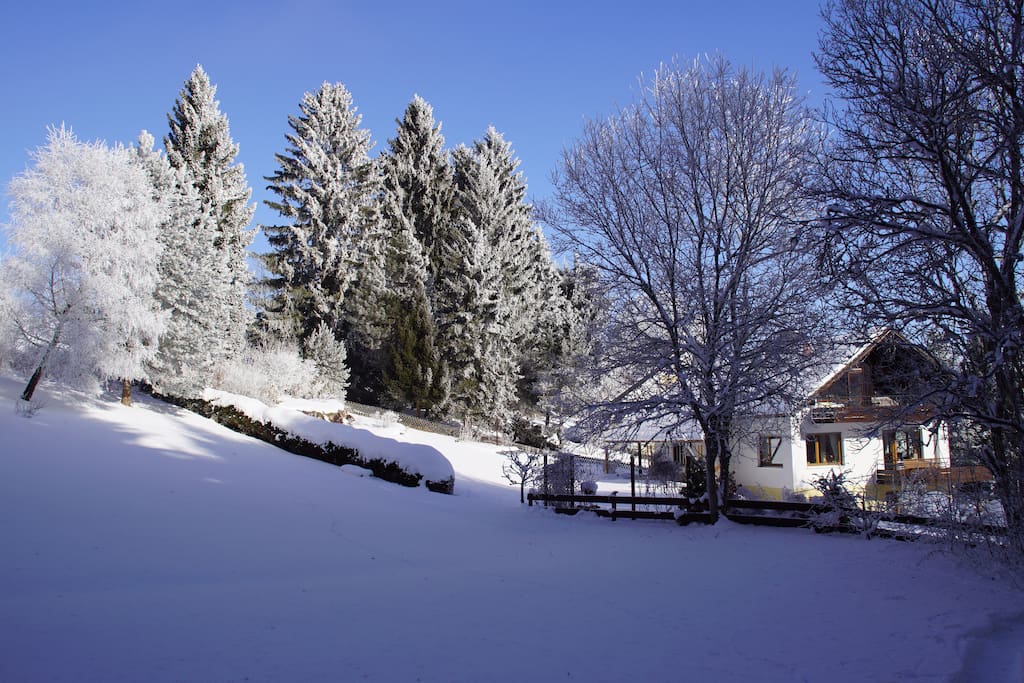 Winteridylle in ruhiger Umgebung