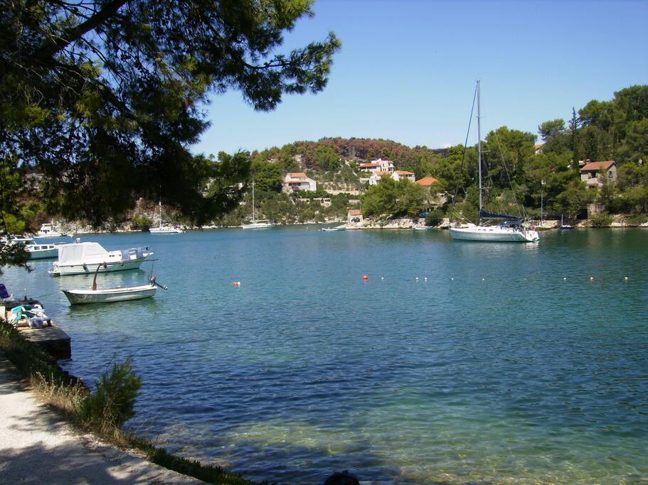 View in front of the house