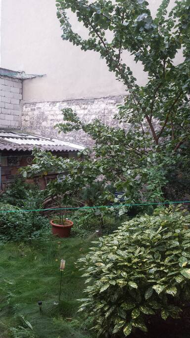 pommier abricotier framboisier ceresier