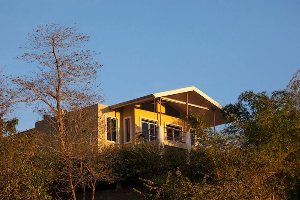 House View