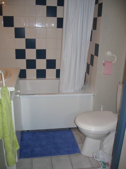 salle de bain et wc