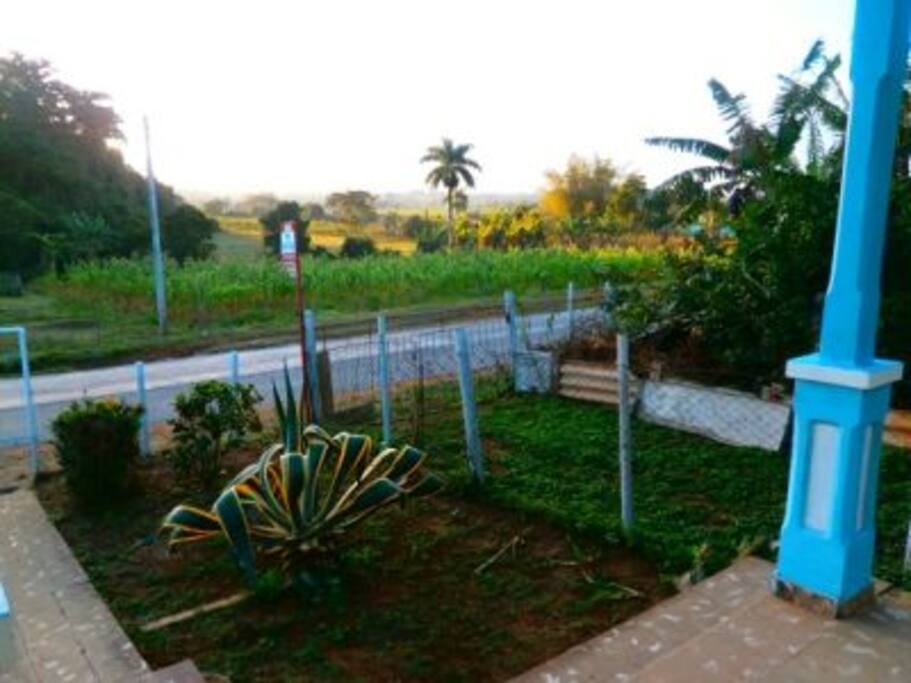 View from porch