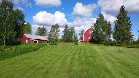 Kälvudden Lodge, Husky tours nearby