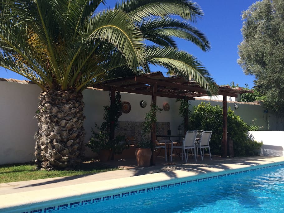 Chilling by the pool