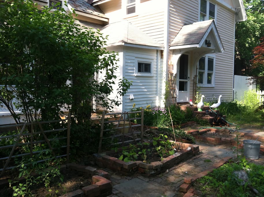 Kitchen Garden in front yard
