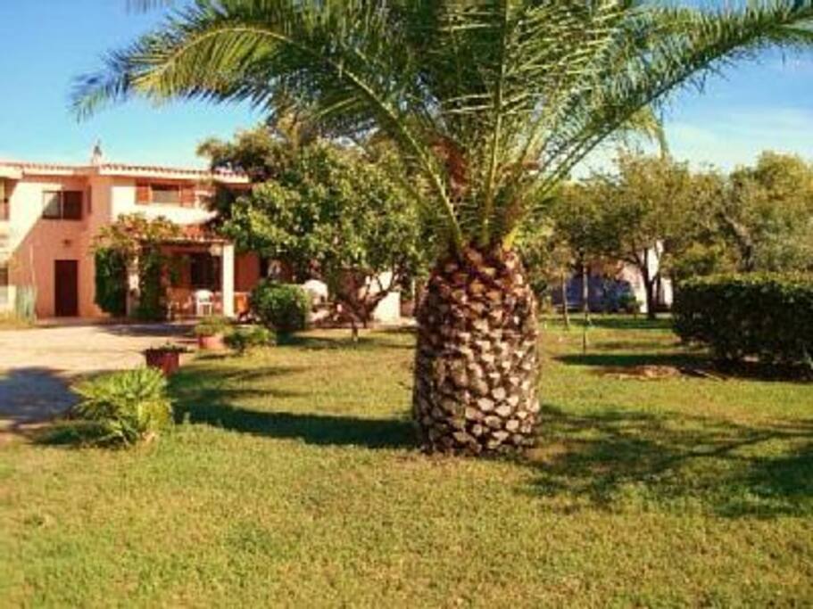 L'appartamento ha accesso diretto dal giardino.