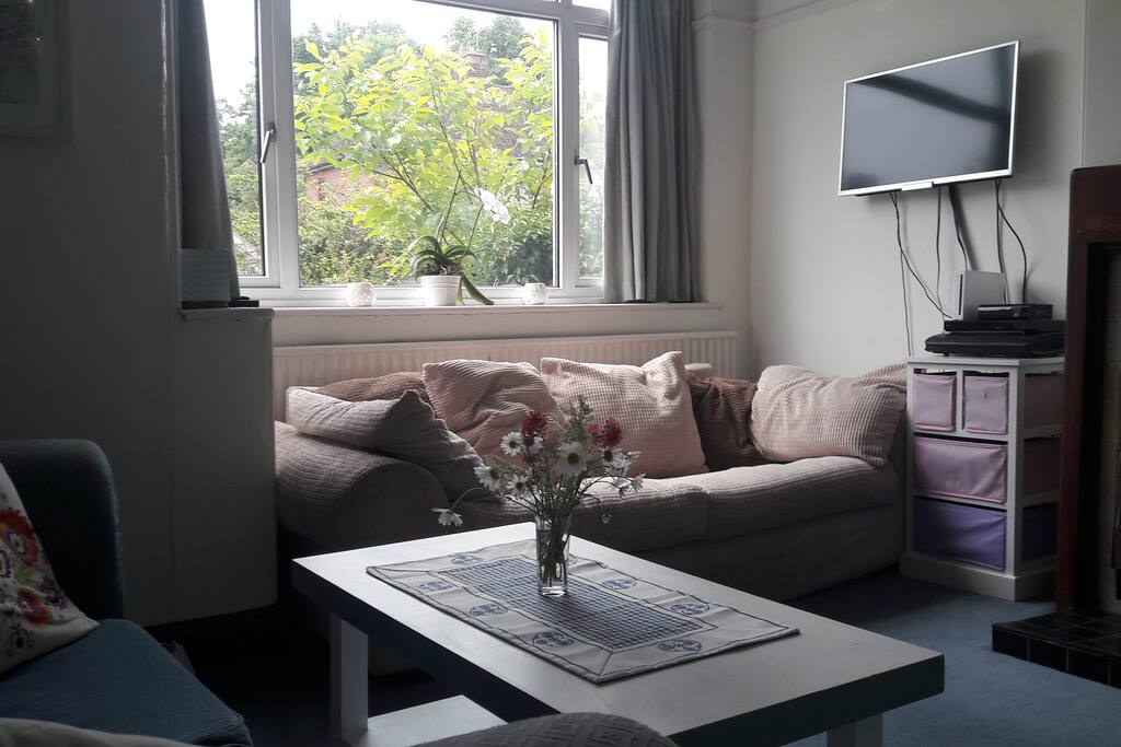 There's TV, Wi-Fi, Wii console and DVD player
