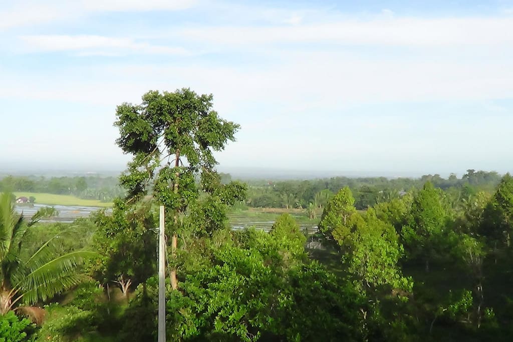 View from the top