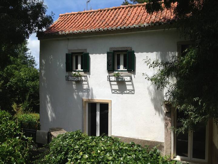 Room in the Deep Nature of Sintra